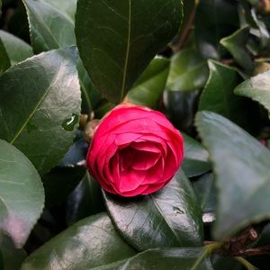 Meet your Posher, Whitney